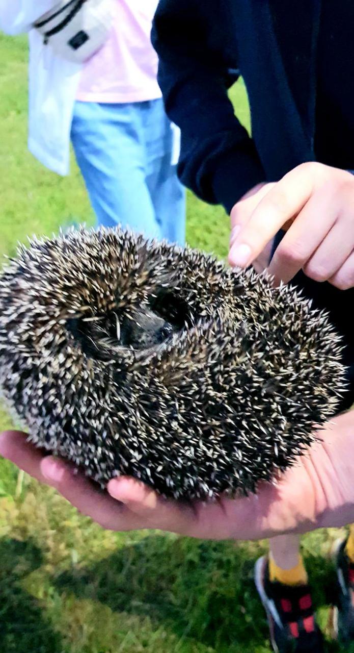 Бассейн, вечерний костёр и свободное время. Фото 9